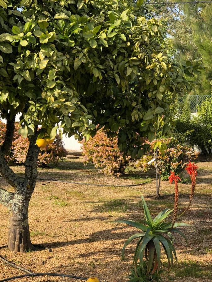 Quinta Verde Albufeira Eksteriør billede