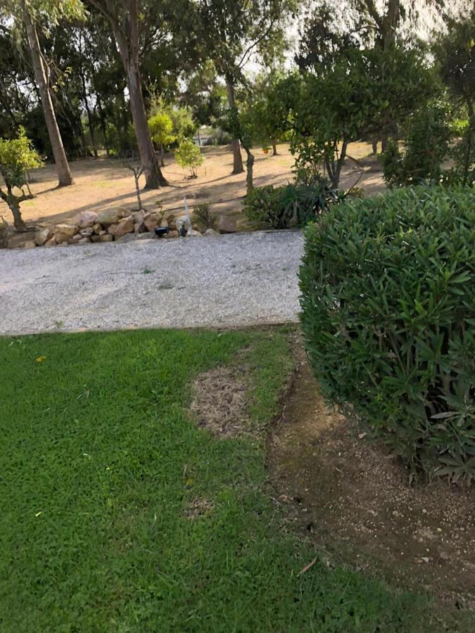 Quinta Verde Albufeira Eksteriør billede