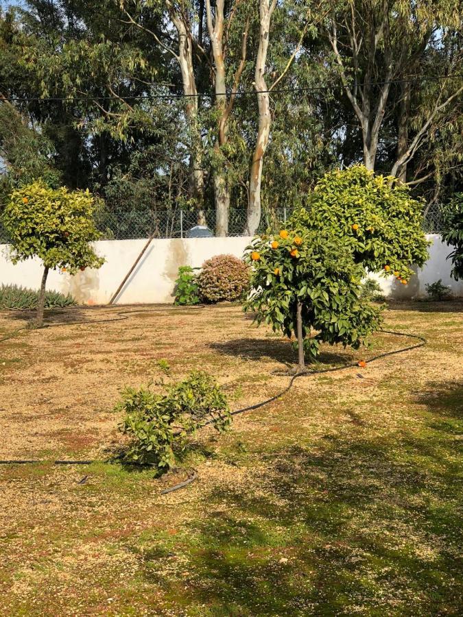 Quinta Verde Albufeira Eksteriør billede